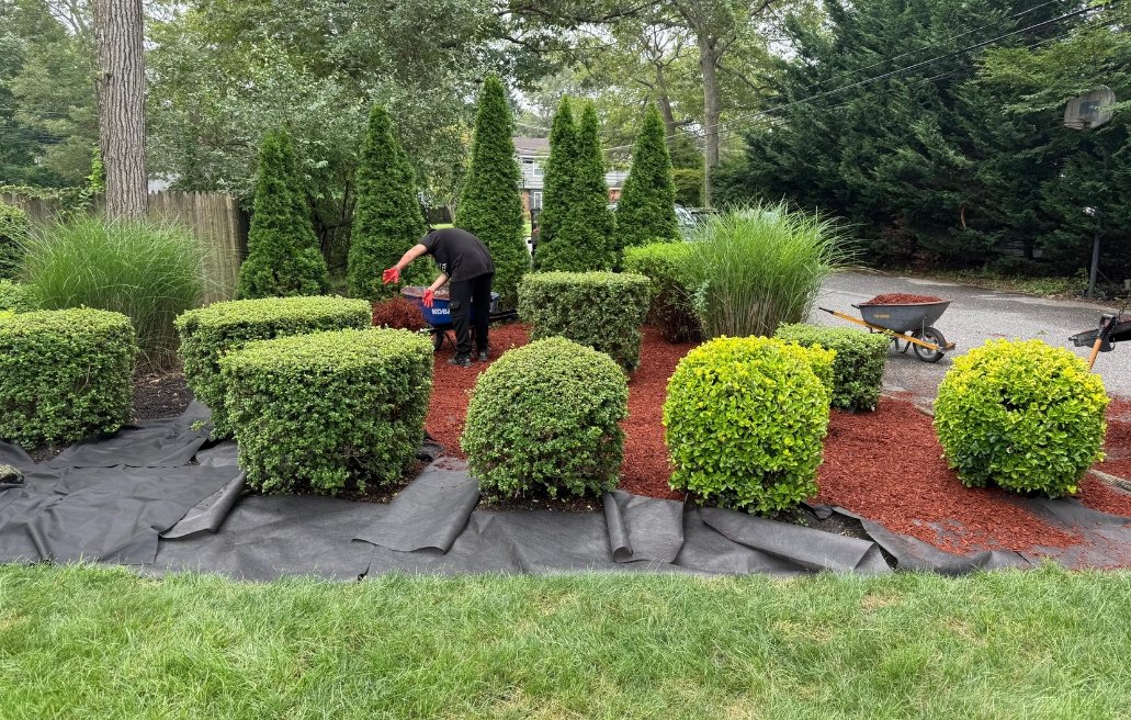 LANDSCAPING