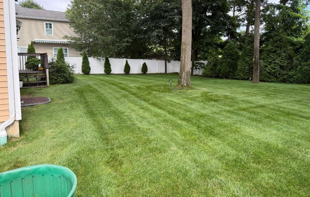 LAWN CARE