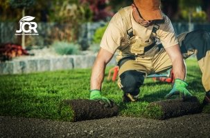 NEED TREE WORKS (1)
